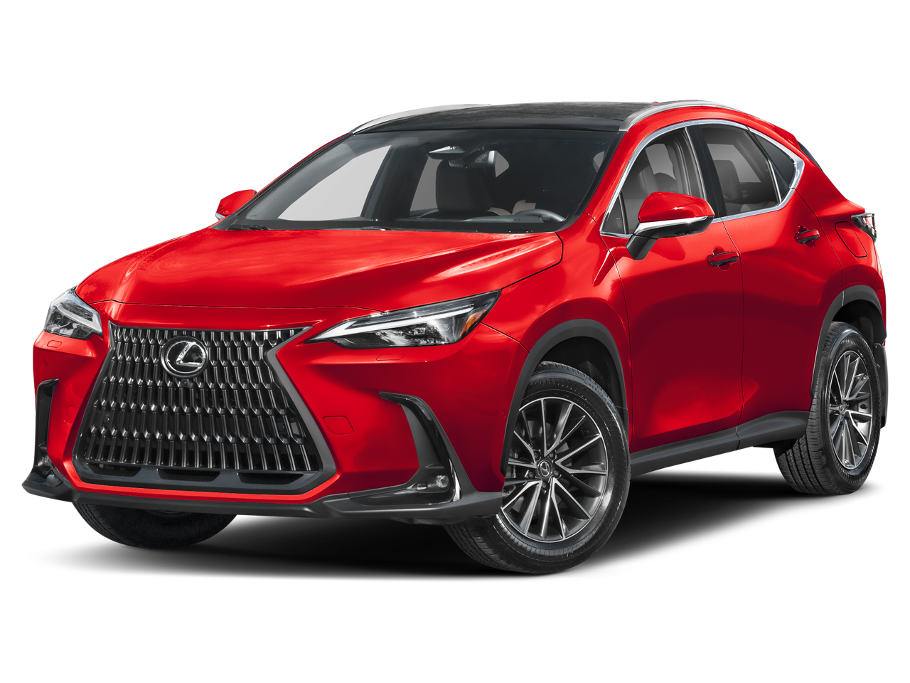 2025 Lexus NX