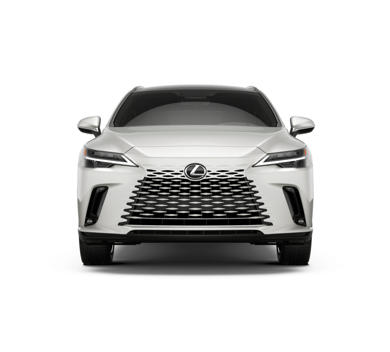 2026 Lexus RX — detail view