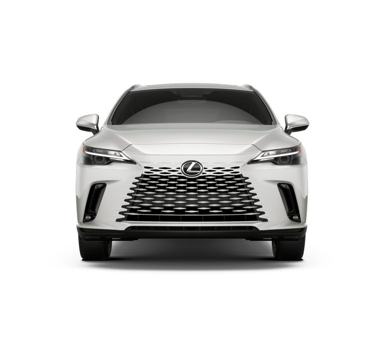 2026 Lexus RX — detail view